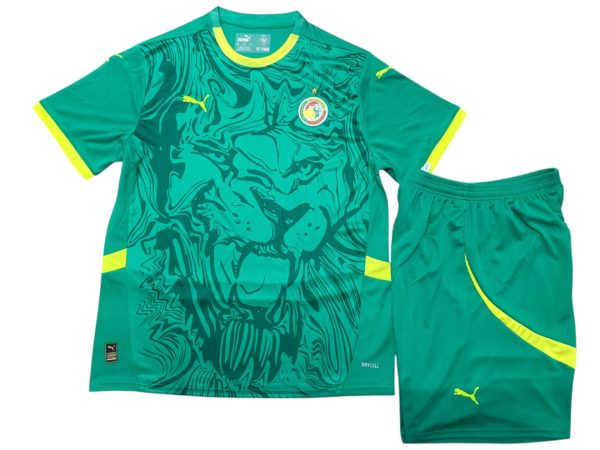Senegal 2026 away kit