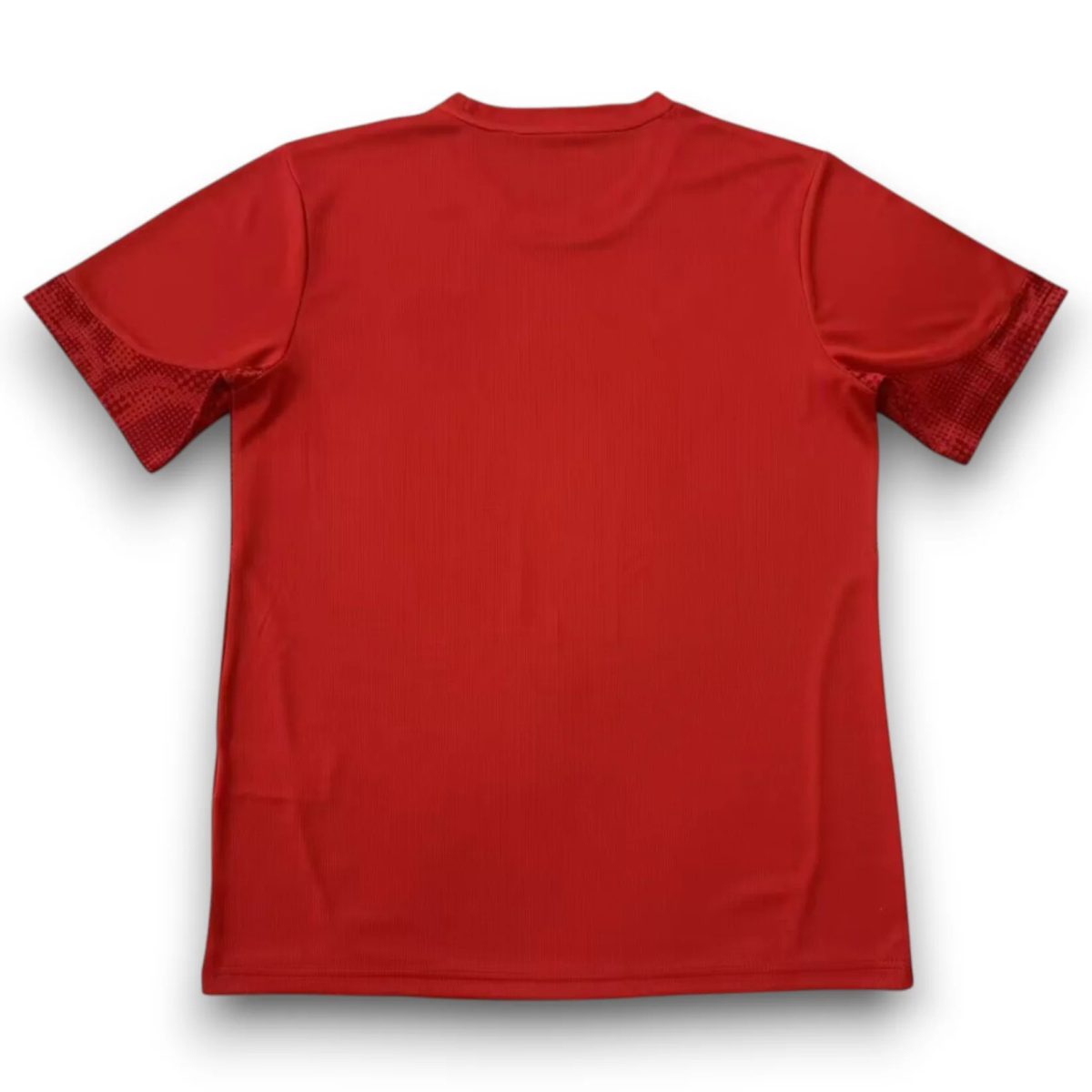 EC Bahia 26/27 training shirt, image 3